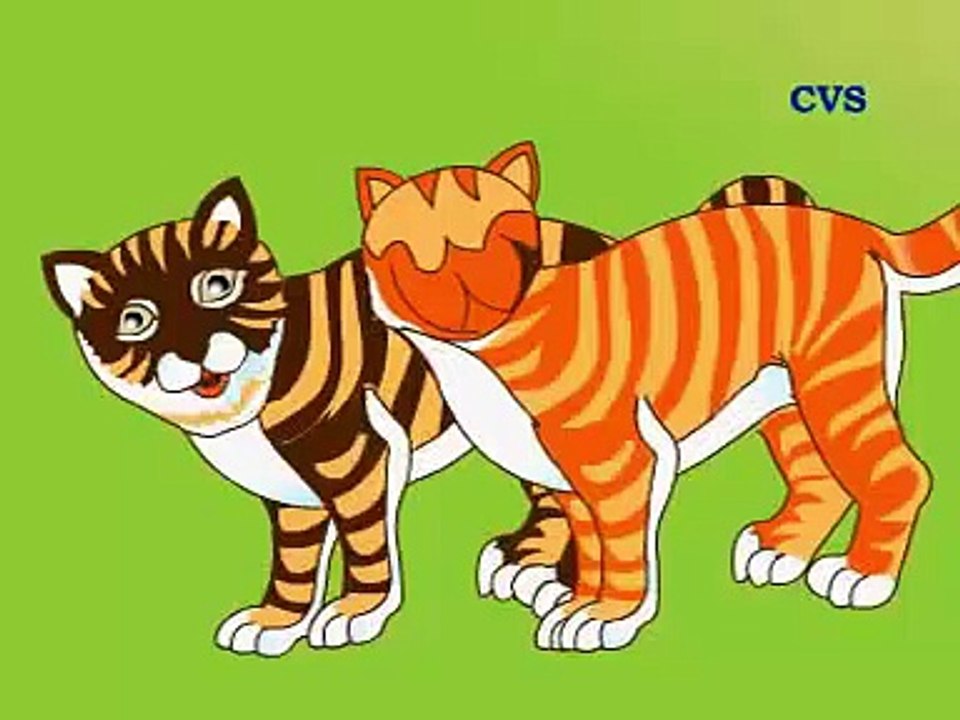Cat And Monkey Story - Cartoons For Kids - Music Animation Movie - Urdu/Hindi