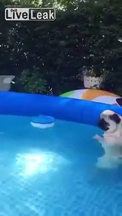 LiveLeak.com - My mood at this moment