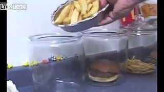 Decomposition of Mcdonald's Burger and Fries...