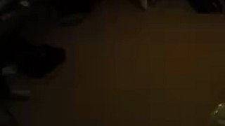 LiveLeak.com - Cat bowling should really be the next Olympic sport