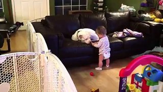 Baby Shares a Cookie With Her Best Friend