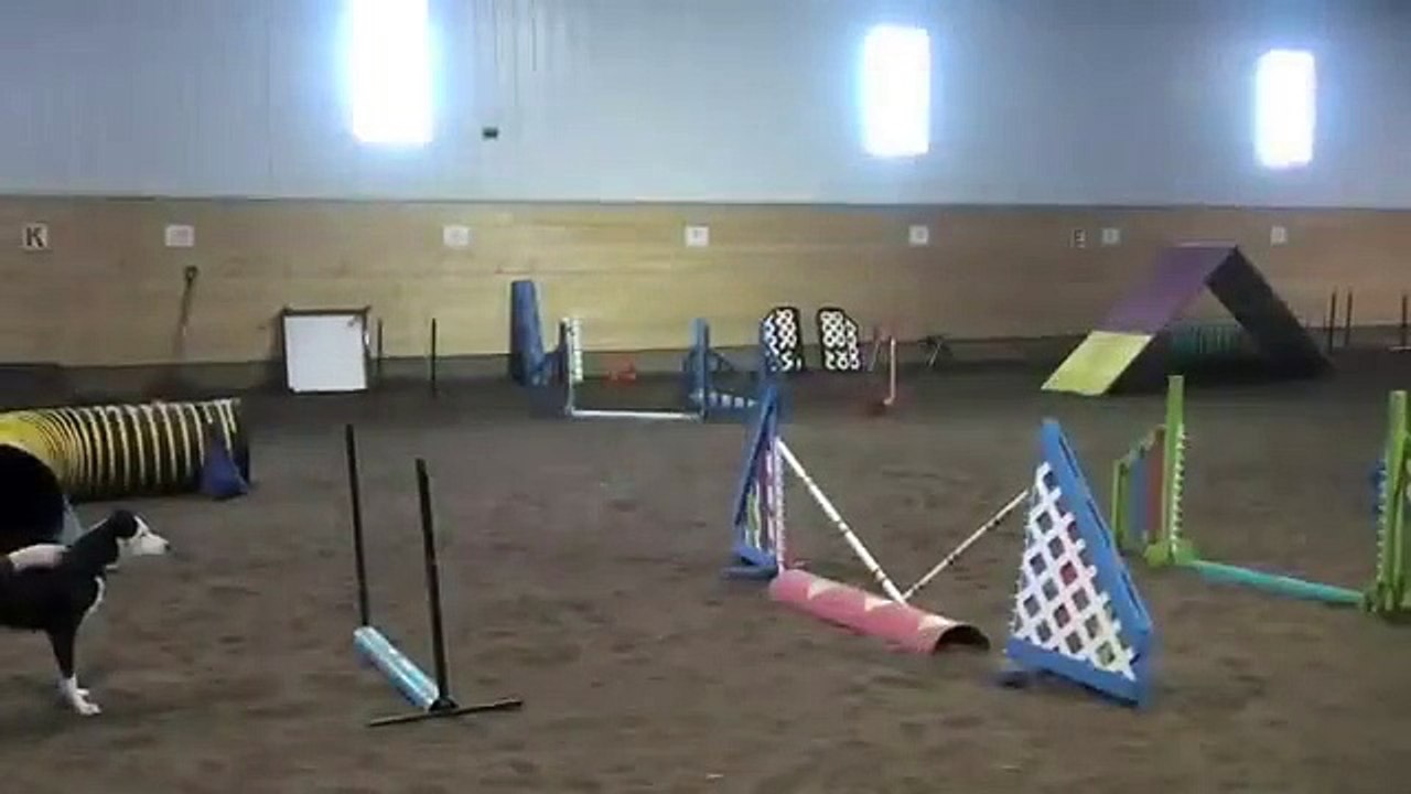 1 year training