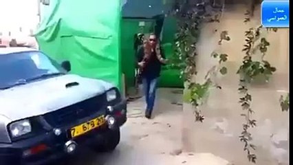 Boğa Yılanını Görünce Geri Vites Yapan Köpek