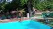 Diving Board Fails Compilation!