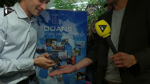 Les douanes de Roissy saisissent 119 scorpions venimeux