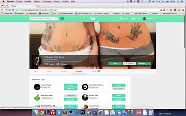 TSU-Auto-Follow-Script-2015