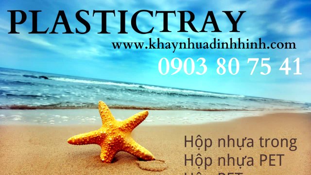 Hộp nhựa trong suốt PET, hộp nhựa nhỏ, hộp nhựa đựng thực phẩm, hộp nhựa cao cấp