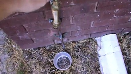 How To Fill up a Plastic Container with Water
