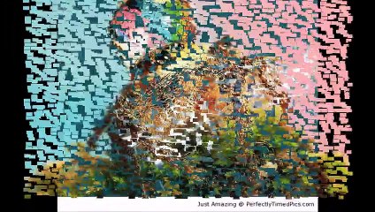 perfectly timed photos of  water