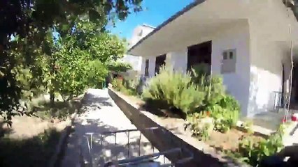 Mektupları Postacıdan Alıp Sahibine Götüren Köpek