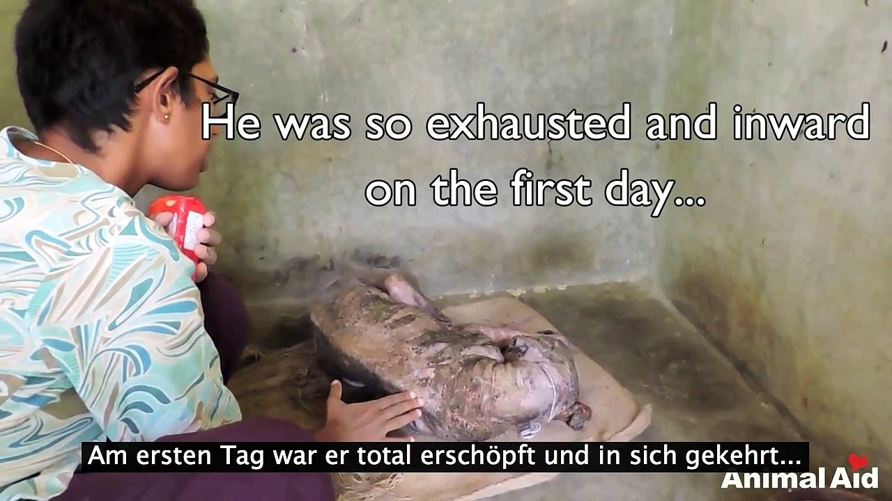 Er lag halbtot am Straßenrand