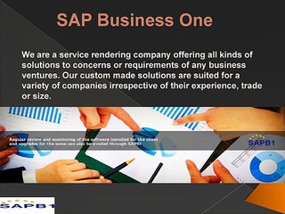 SAP Business One