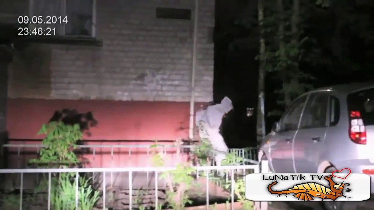 6秒で笑える映像！おもしろすぎる動画特集, わらえる,面白い,おもしろ 超楽しい #24