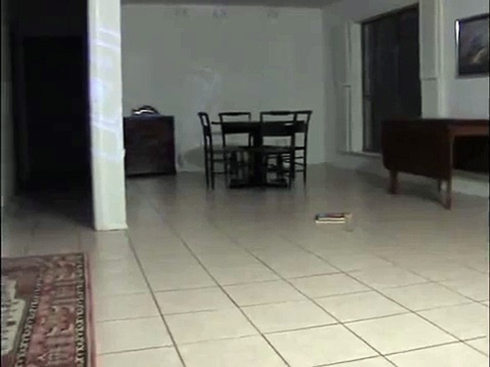 Amazing shot Pen!