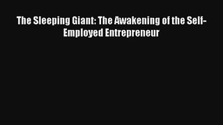 The Sleeping Giant: The Awakening of the Self-Employed Entrepreneur Livre Télécharger Gratuit