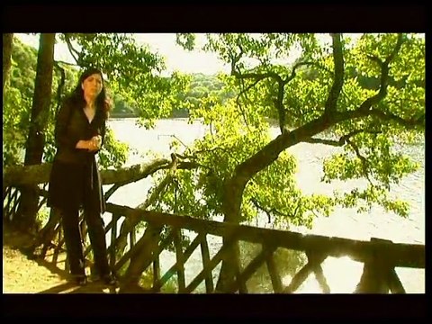 Ferdi Tayfur - Yağmur Gözyaşım (Orjinal Klip)