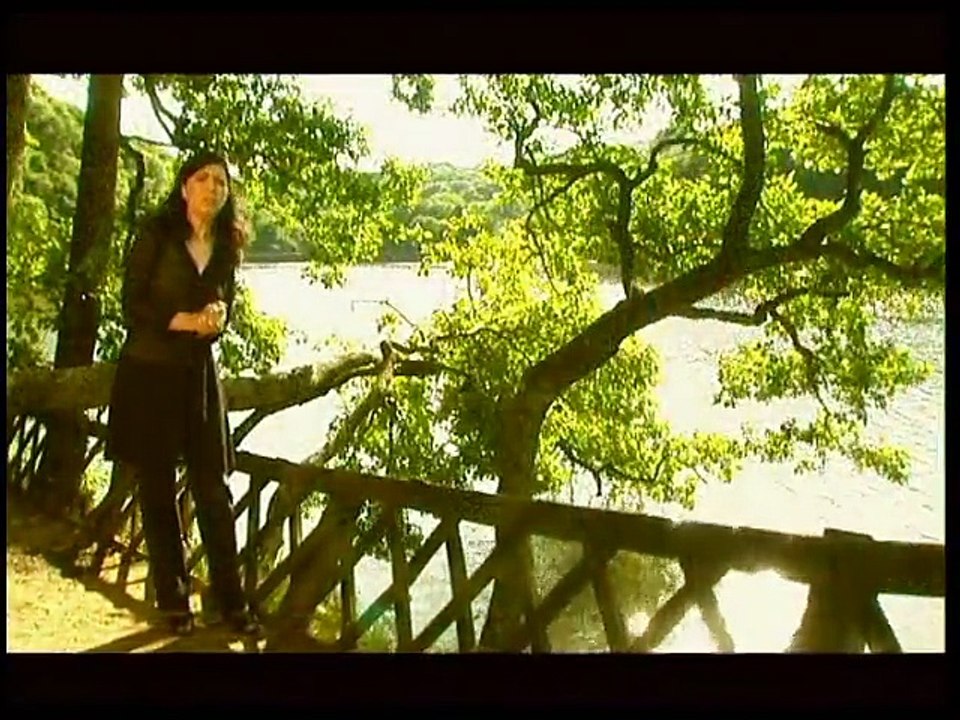 Ferdi Tayfur - Yağmur Gözyaşım (Orjinal Klip)