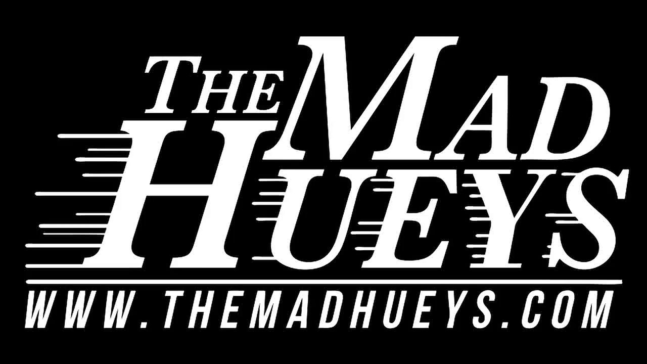 SHARK ATTACK NEAR MISS GOLD COAST