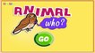 Animal Alphabet, ABC Flash Cards, Animal Sounds Game for Toddlers, Kids, Children