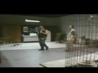 Scare Tactics - Little Monster