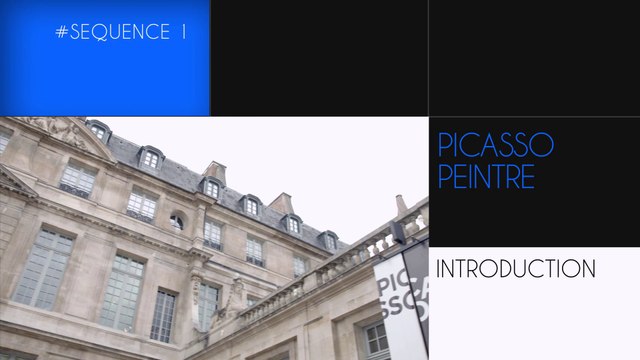 Picasso, un siècle de peinture - 1. Introduction