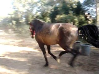 Curro XXVII: Celebrating Excellence in Education