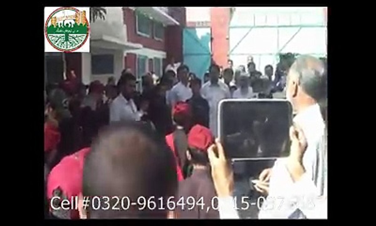 school reporting