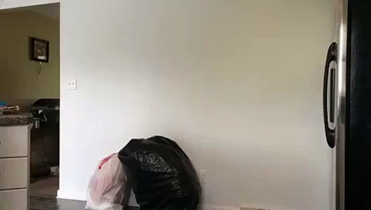 Funny Clip For Girls