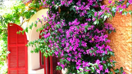 CHAMBRE D HOTE NICE VILLA BENNECOURT