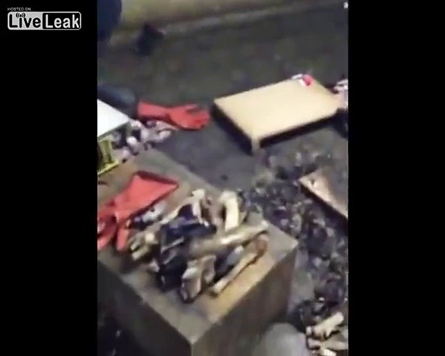 LiveLeak.com - Selling dog meat for Seven years in the restaurant in Saudi Arabia