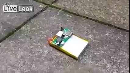 LiveLeak.com - Is this for real? Oh my goodness.