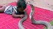 See What Snake Did when Baby was in Front of Her __ - Video Dailymotion