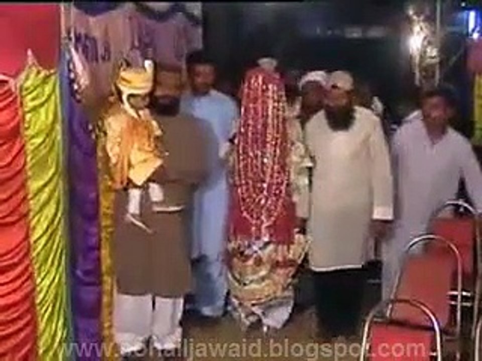 Funny Videos