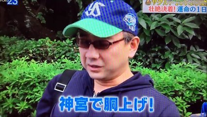 ヤクルト １４年ぶりの優勝！真中監督、７回宙を舞う