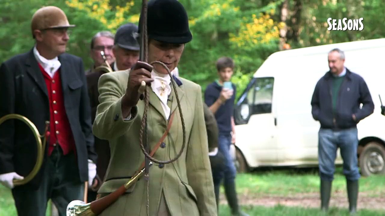 SEASONS - Et la biche court toujours...