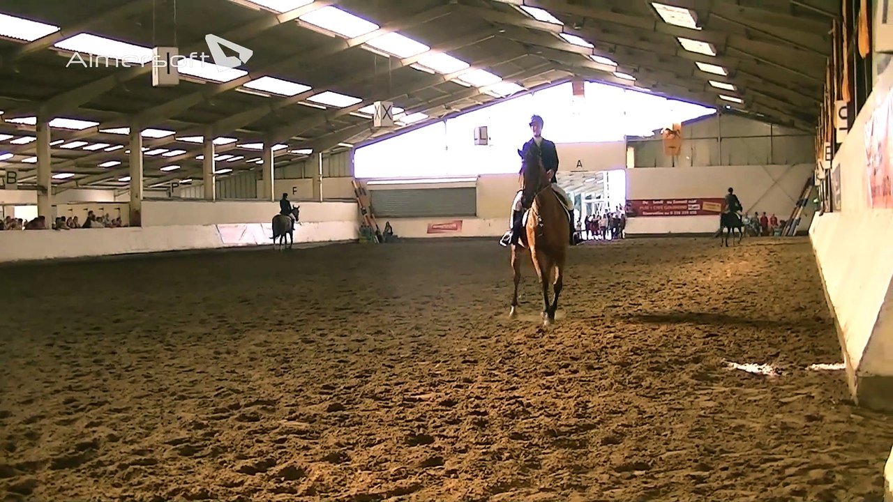 Pas de 4 dressage