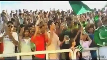 Pothwari Billi Sohna Pakistan