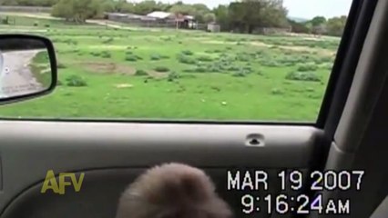 Peek A Boo I See You