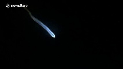 Spectacular phenomena as rocket launches over Florida
