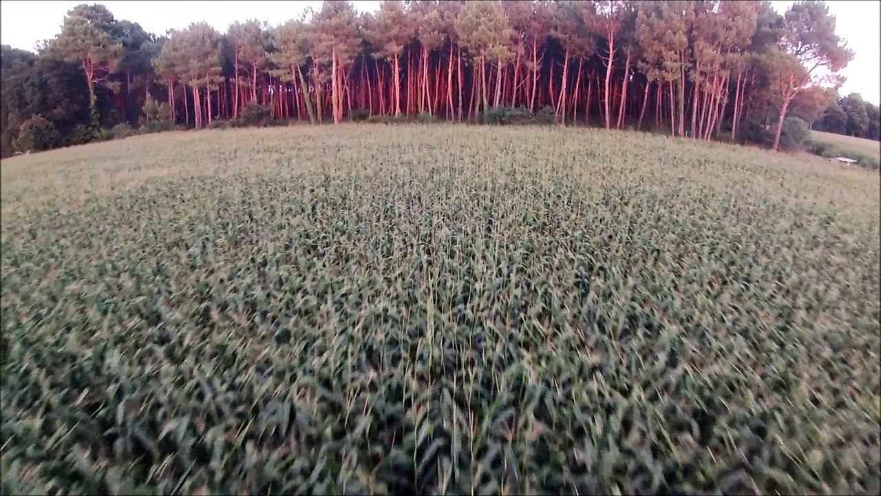 DJI 450 vol en soirée