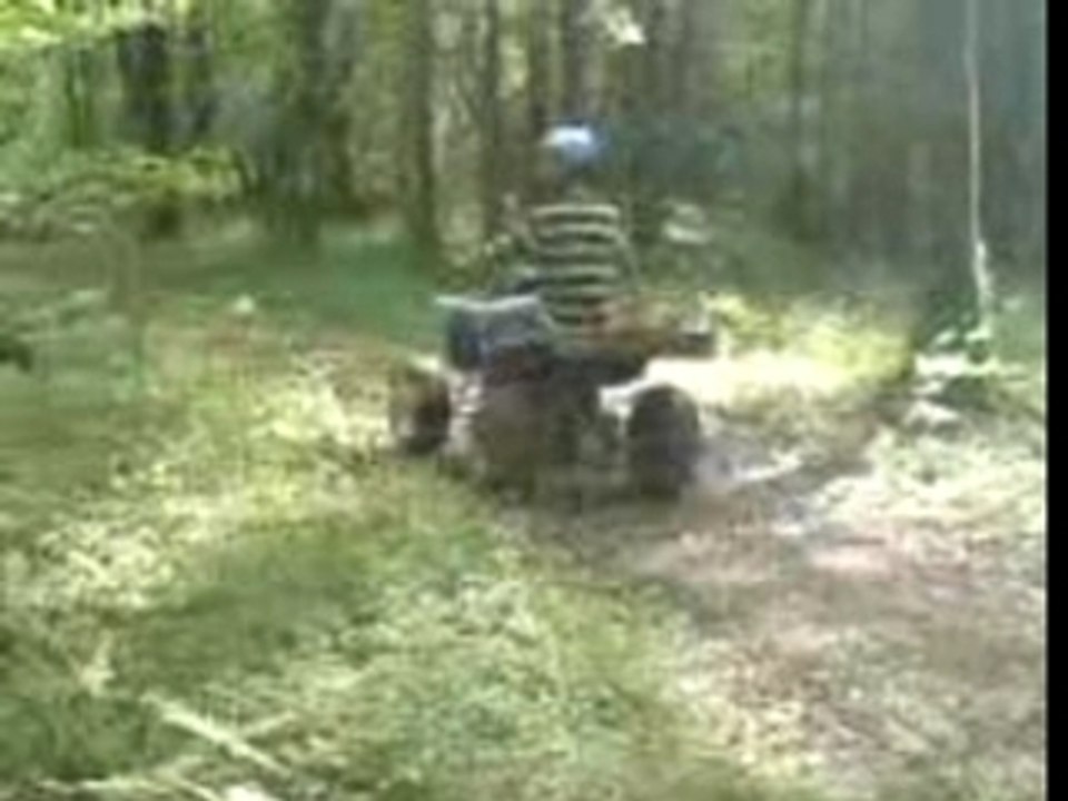 quad tom