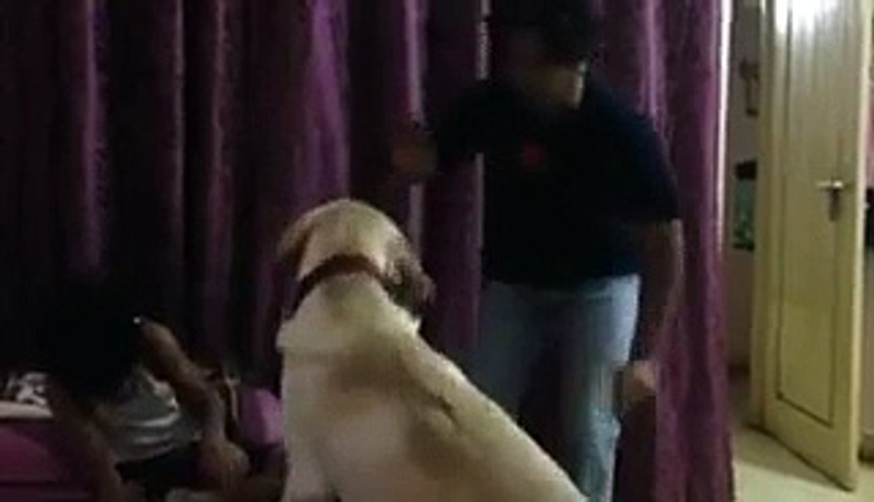 Janwar Ki Aisi Wafadai Jo Pehle Na Dekhi