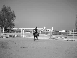 Saut avec Le prince sur le vertical