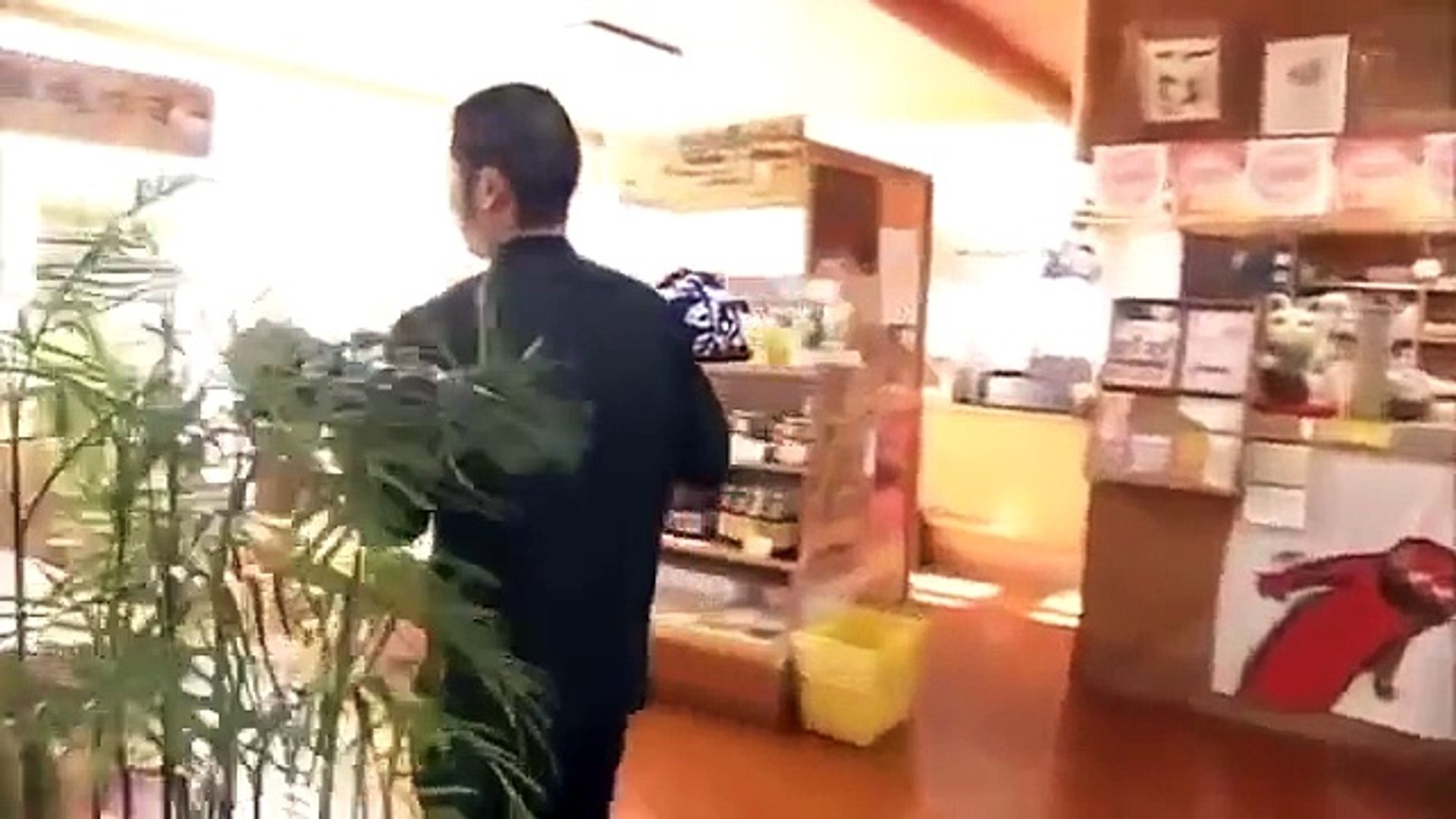 Japan Documentary