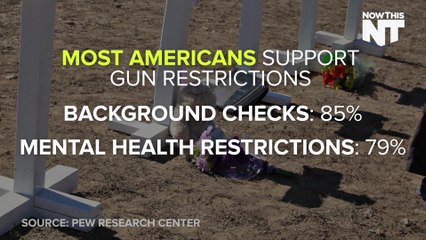 What is Standing in the Way of Meaningful Gun Reform? Money & Moral Cowardice