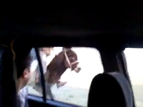 EŞEK ARABAYI SOLLAR MI Komedi ve Eğlence izle (video) Komedi ve Eğlence izle (video)