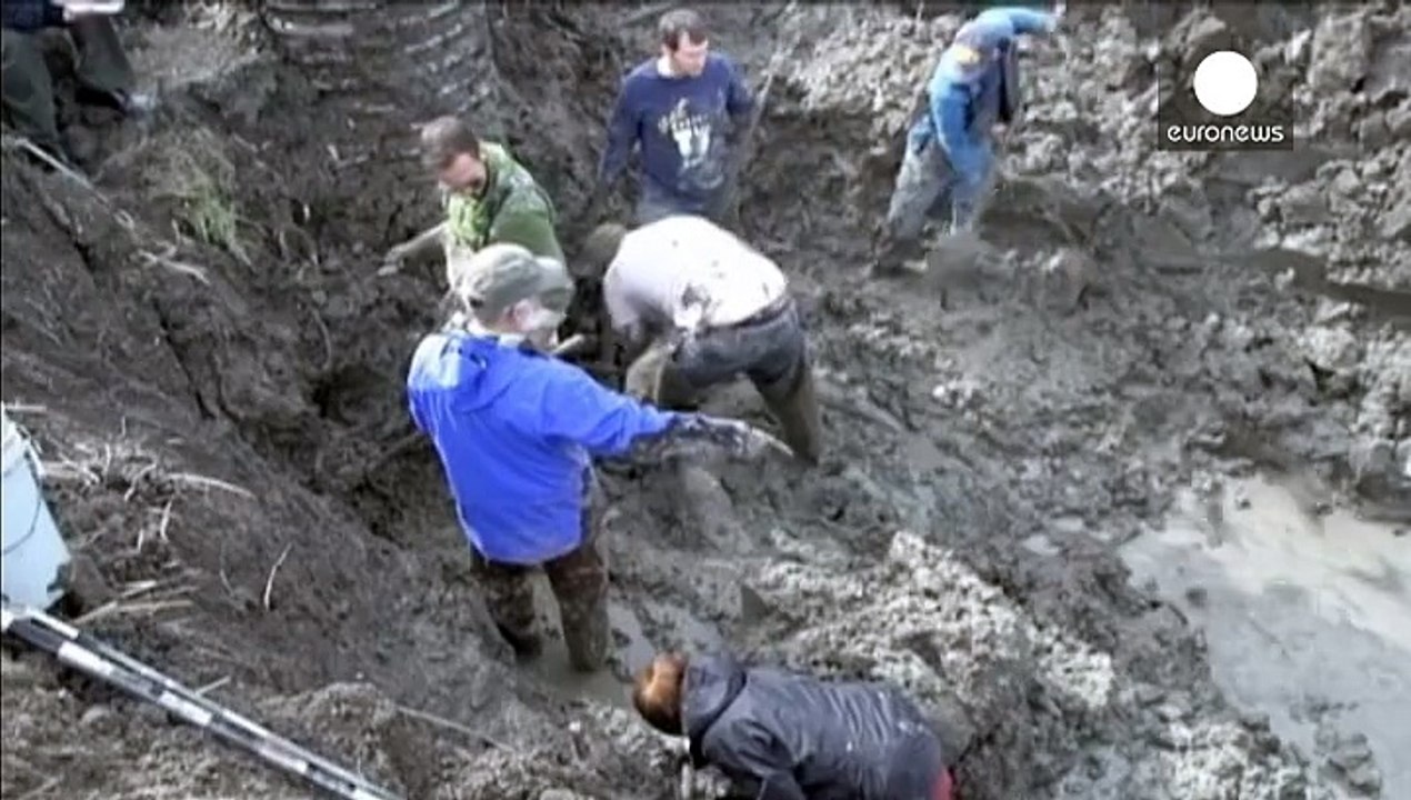 Mammoth discovery in Michigan