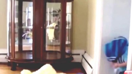 Funny Pranks 2015 Americas Funniest Home Videos