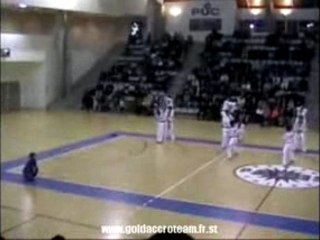 Taekwondo-Korean Tigers