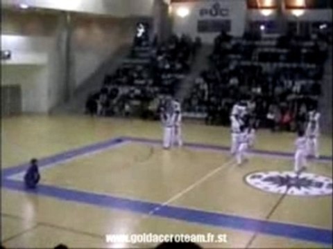 Taekwondo-Korean Tigers